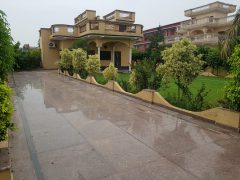 Farmhouse In Noida